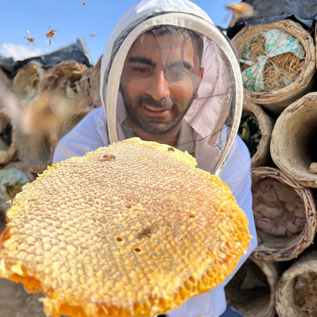 عسل خلية تقليدية (منزوع الشمع) وزن كيلوغرام واحد - الصورة 2