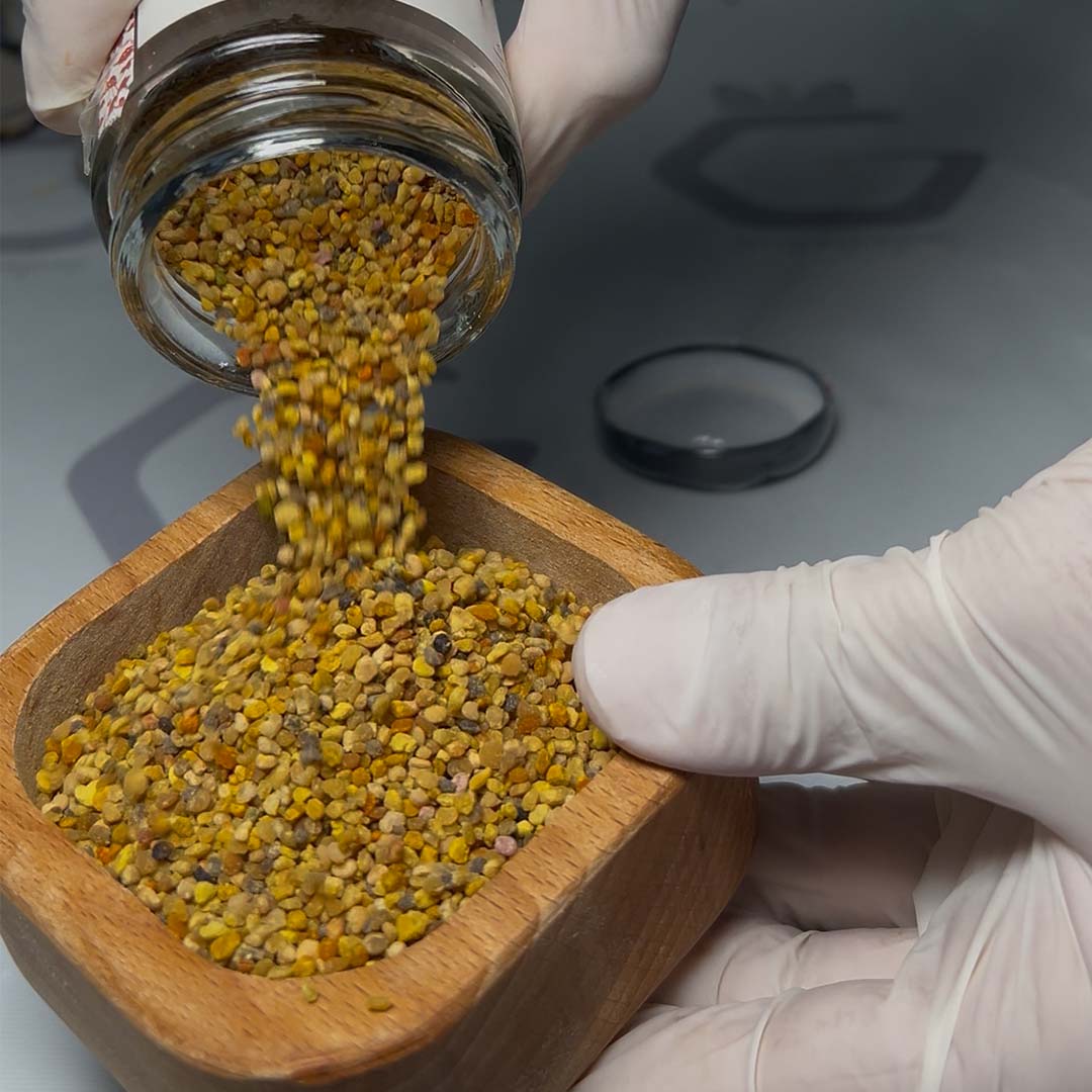 سعر حبوب اللقاح نصف كيلو