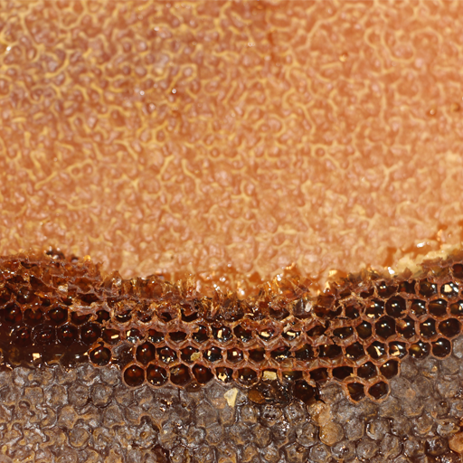 عسل مومدار خلية تقليدية - الصورة 3
