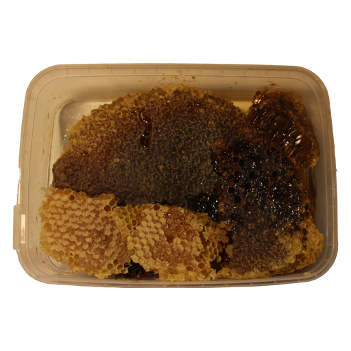 عسل مومدار خلية تقليدية - الصورة 2